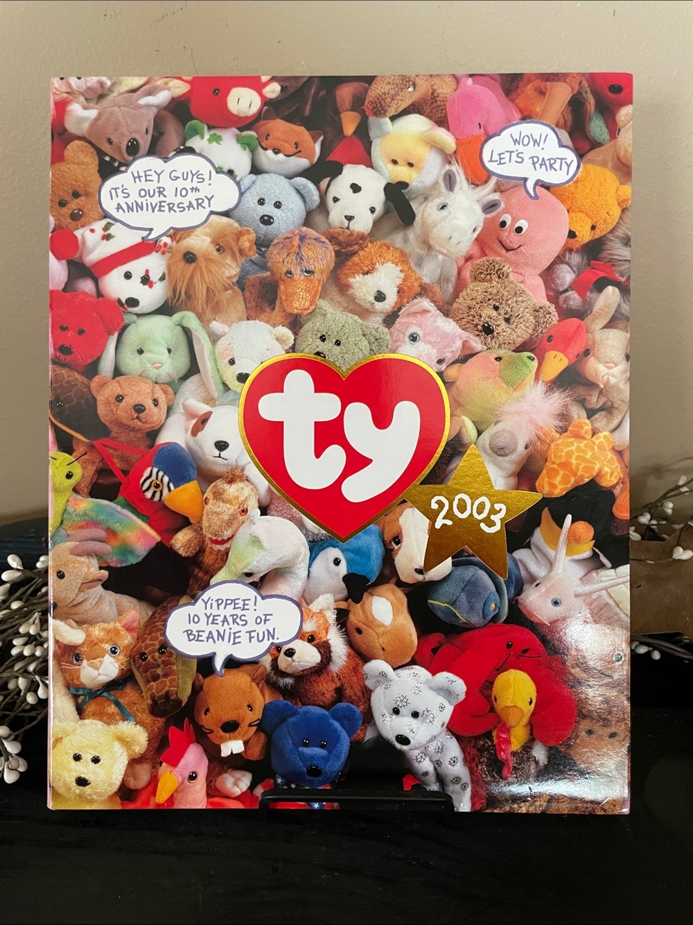 LIKE NEW Ty 2003 10th Anniversary Collector Binder